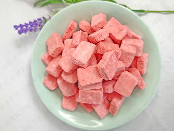 FD酸奶块冻干机