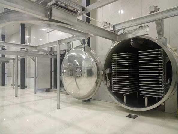 FD茶叶真空冻干机