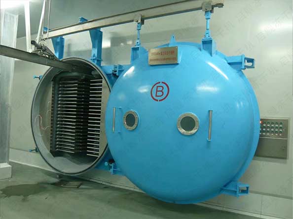 FD酸奶块冻干机