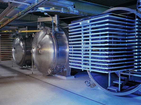 FD茶叶真空冻干机