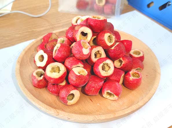 家用小型茶叶冻干机