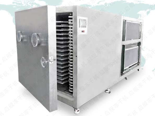 GMP中药真空冻干机