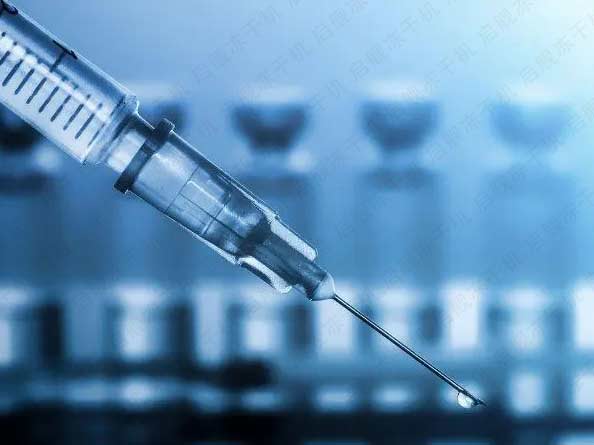 真空冷冻干燥机：什么是冻干粉？