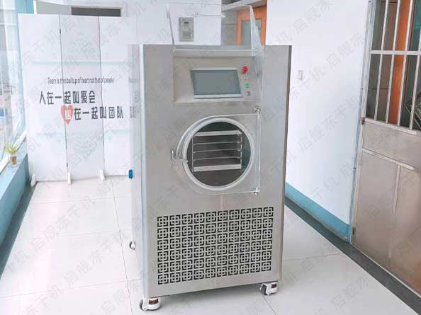 家用小型茶叶冻干机