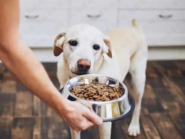 宠物食品冻干机：什么是主食冻干？