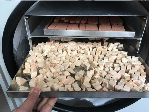 FD宠物粮食真空冻干机