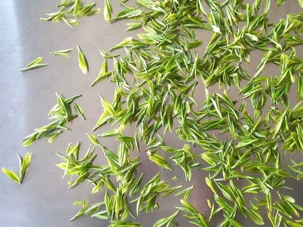 FD茶叶真空冻干机