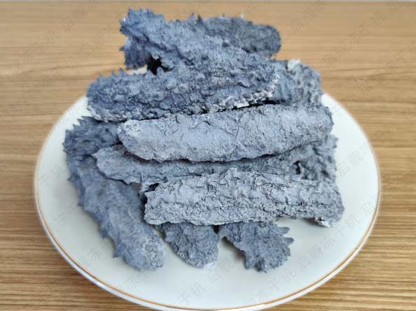 为客户做的冻干海参实验成功出炉