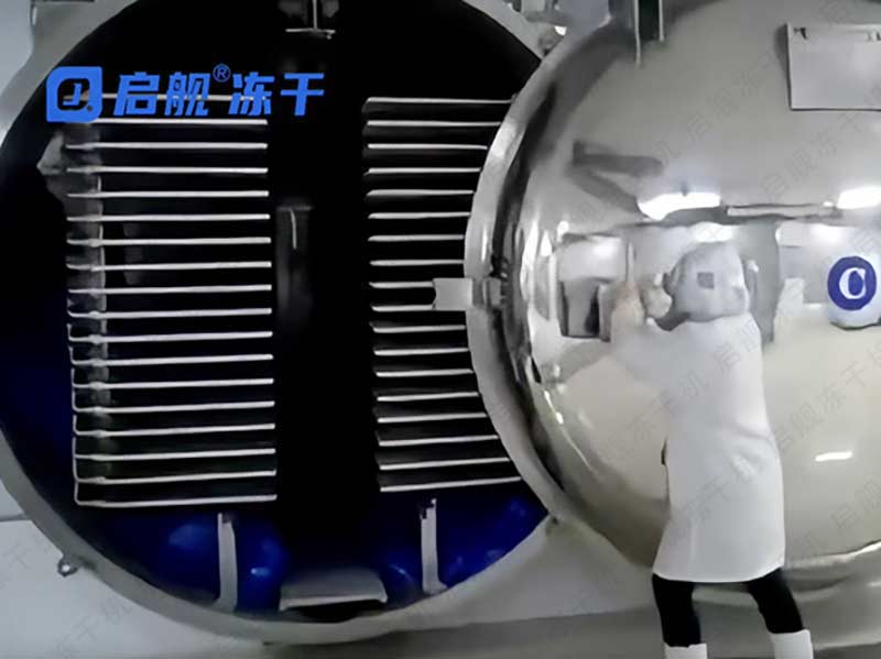 启舰冻干机工作人员放入物料关舱门