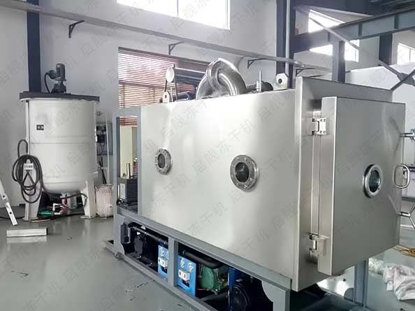 GMP医药真空冻干机