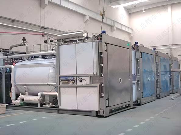 GMP虫草真空冻干机