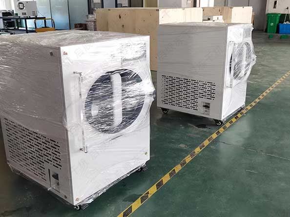 家用小型柠檬冻干机