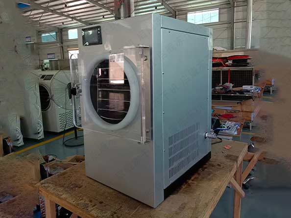 家用小型榴莲冻干机