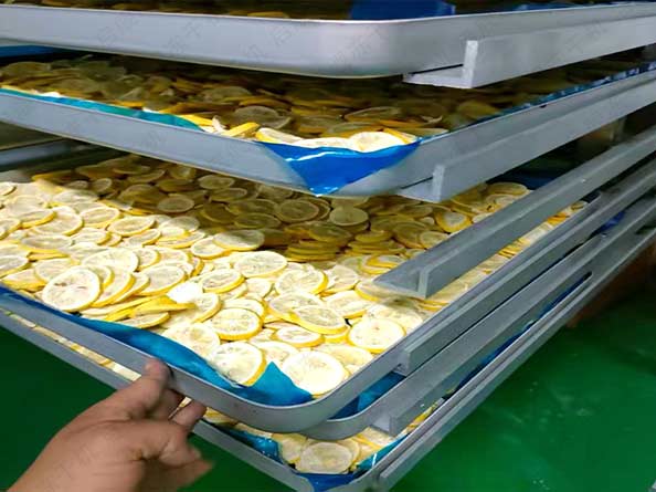 冻干机：冻干食品在什么情况下会提前变质