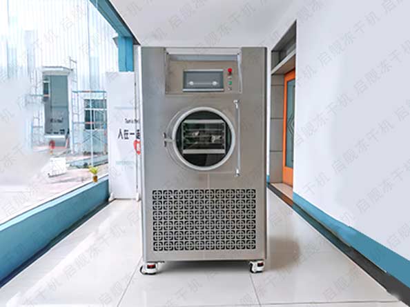 家用小型苹果冻干机