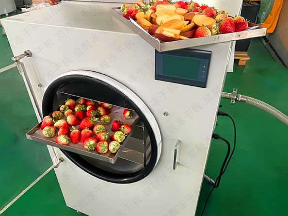 家用小型草莓冻干机