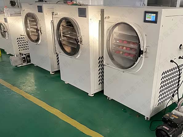 家用小型山楂糖葫芦冻干机